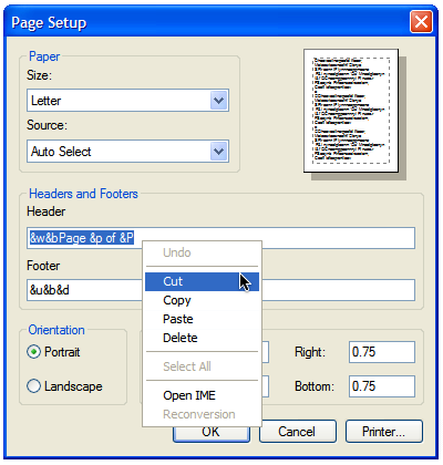 IE Print Page Setup Screen