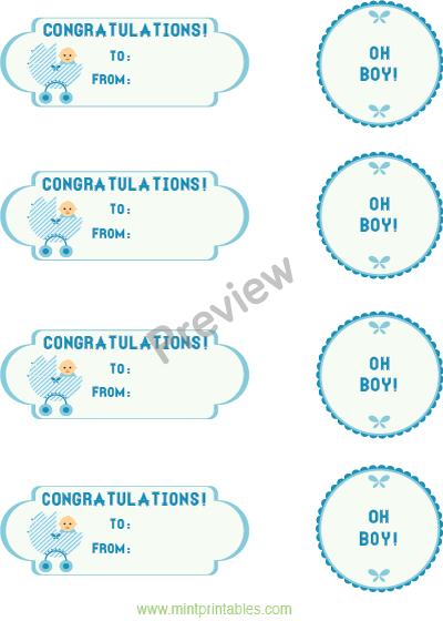 Congratulations Baby Girl Present Labels - Preview