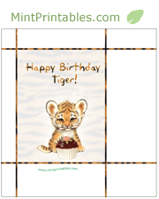 Baby Tiger Birthday Bag