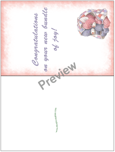 Newborn Congrats Card - Baby Basket - Preview