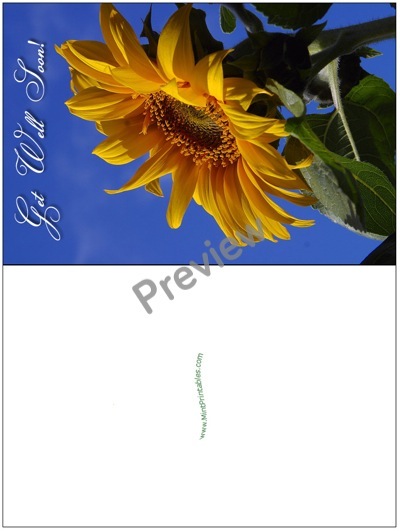 Cheerful Sunflower - Preview